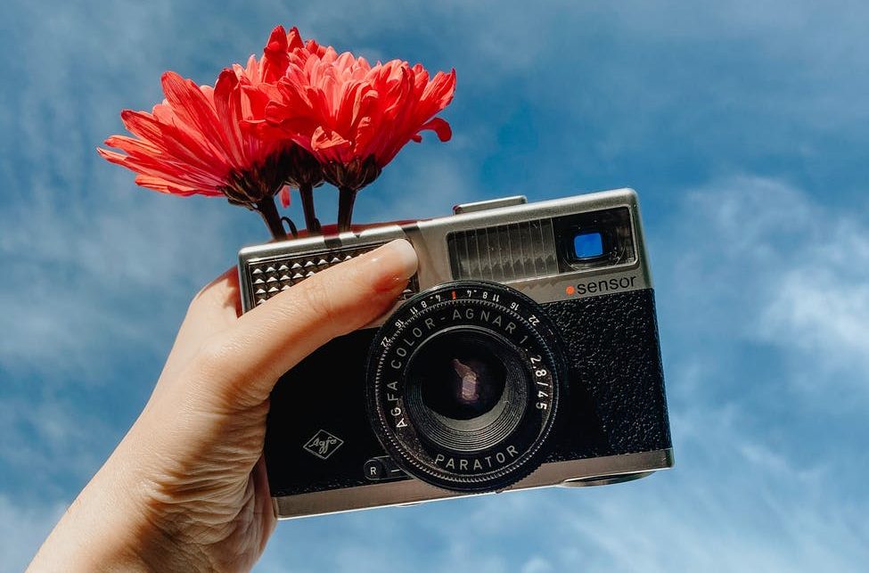 woman showing retro photo camera and holding blooming flower