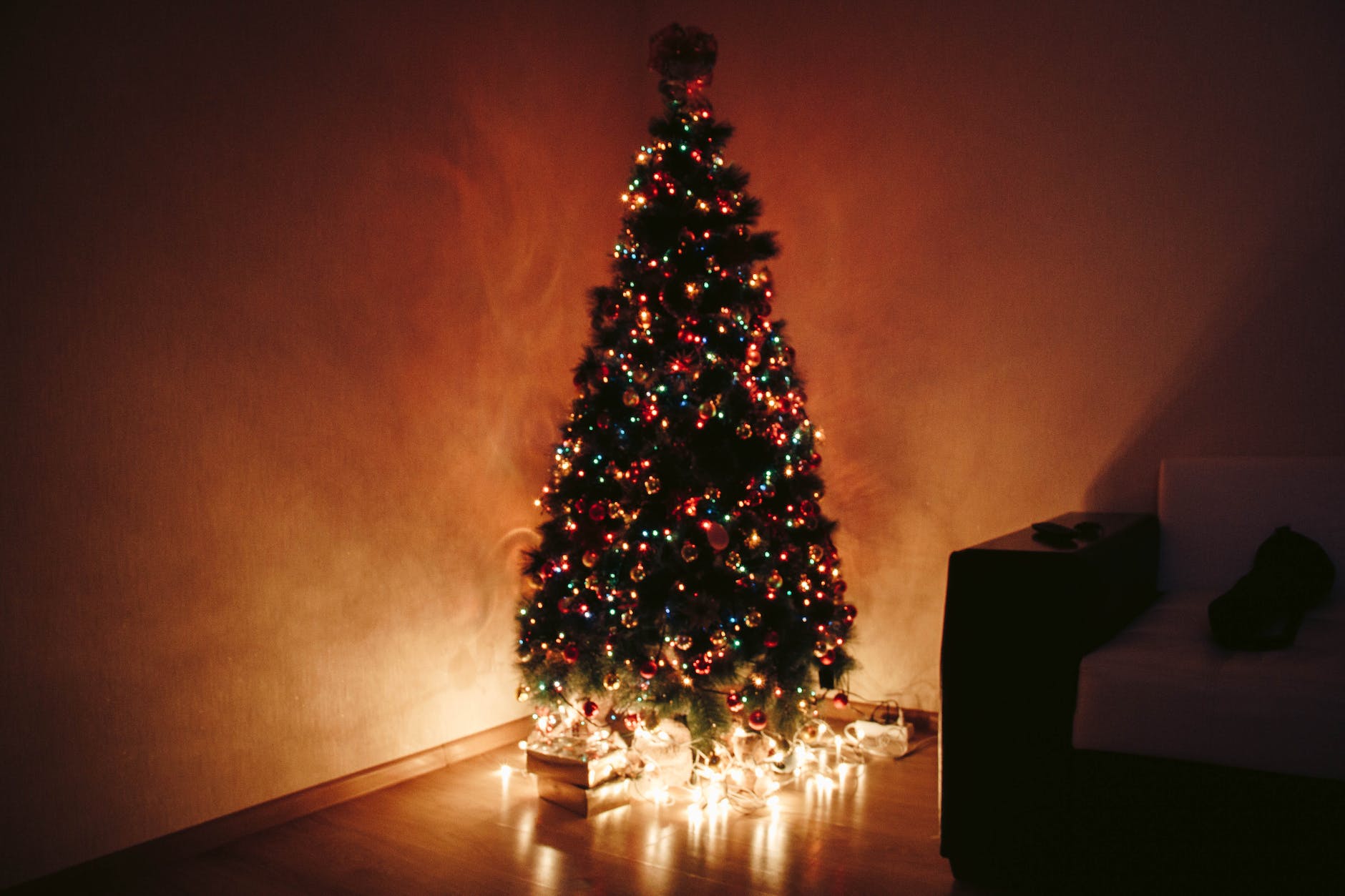 Christmas Tree Permits Available Online